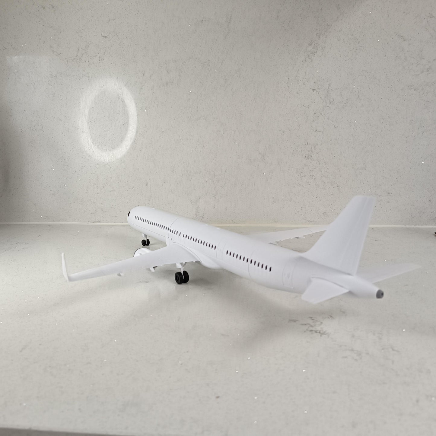A321-Style 3D Printed Extended Narrow-Body Passenger Jet Model – Aviation Display Gift