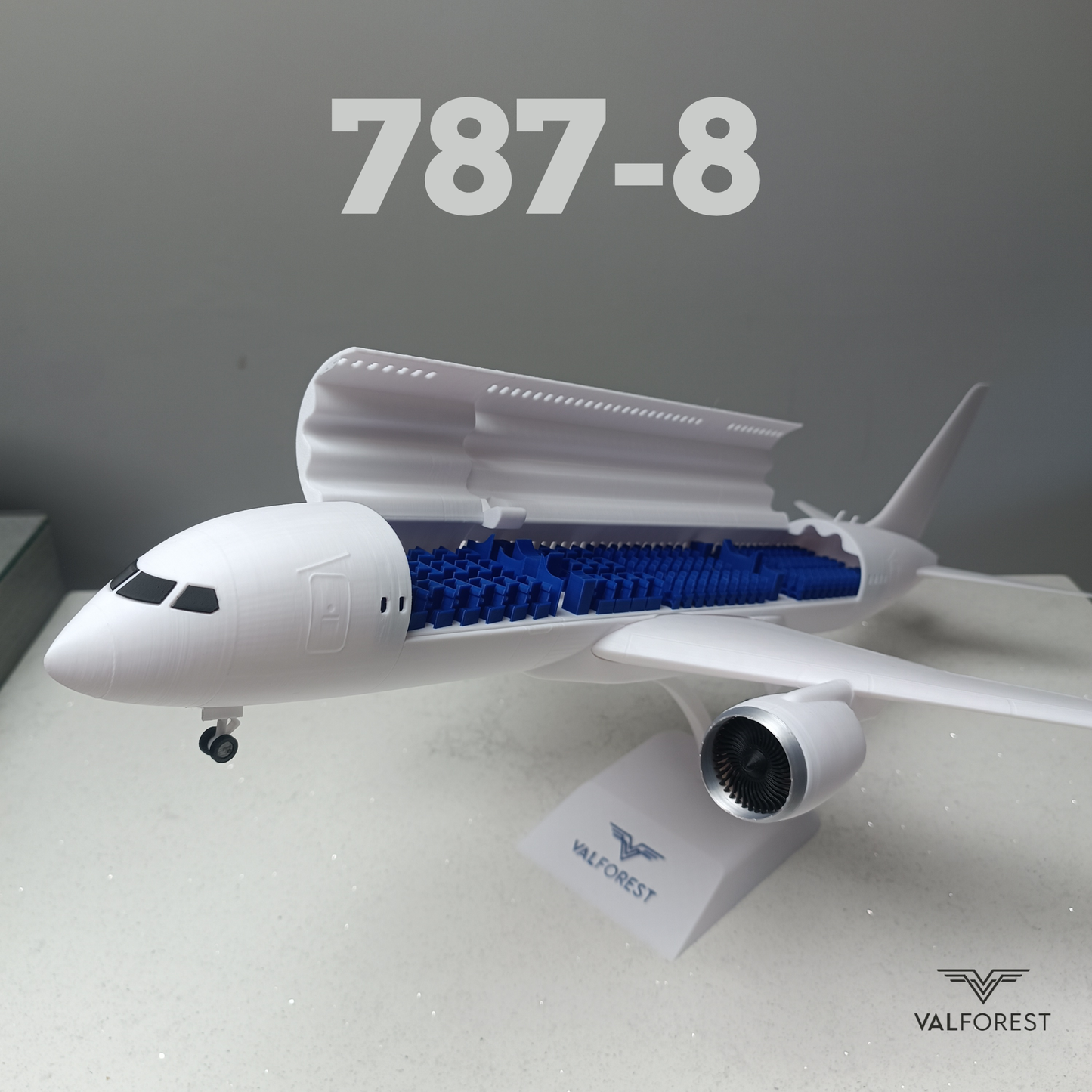 787-8 style aircraft model (1/100 scale)