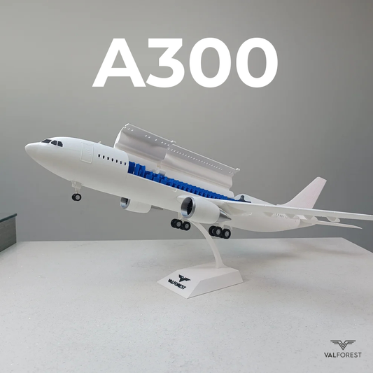 A300 style aircraft model (1/100 scale)