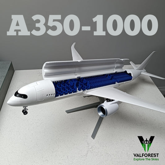 A350-1000 Style Aircraft Model (1:100)