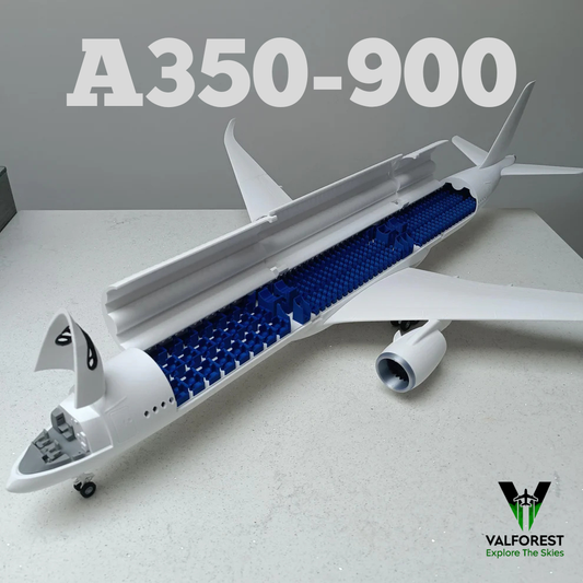 A350-900 Style Aircraft Model (1:100)