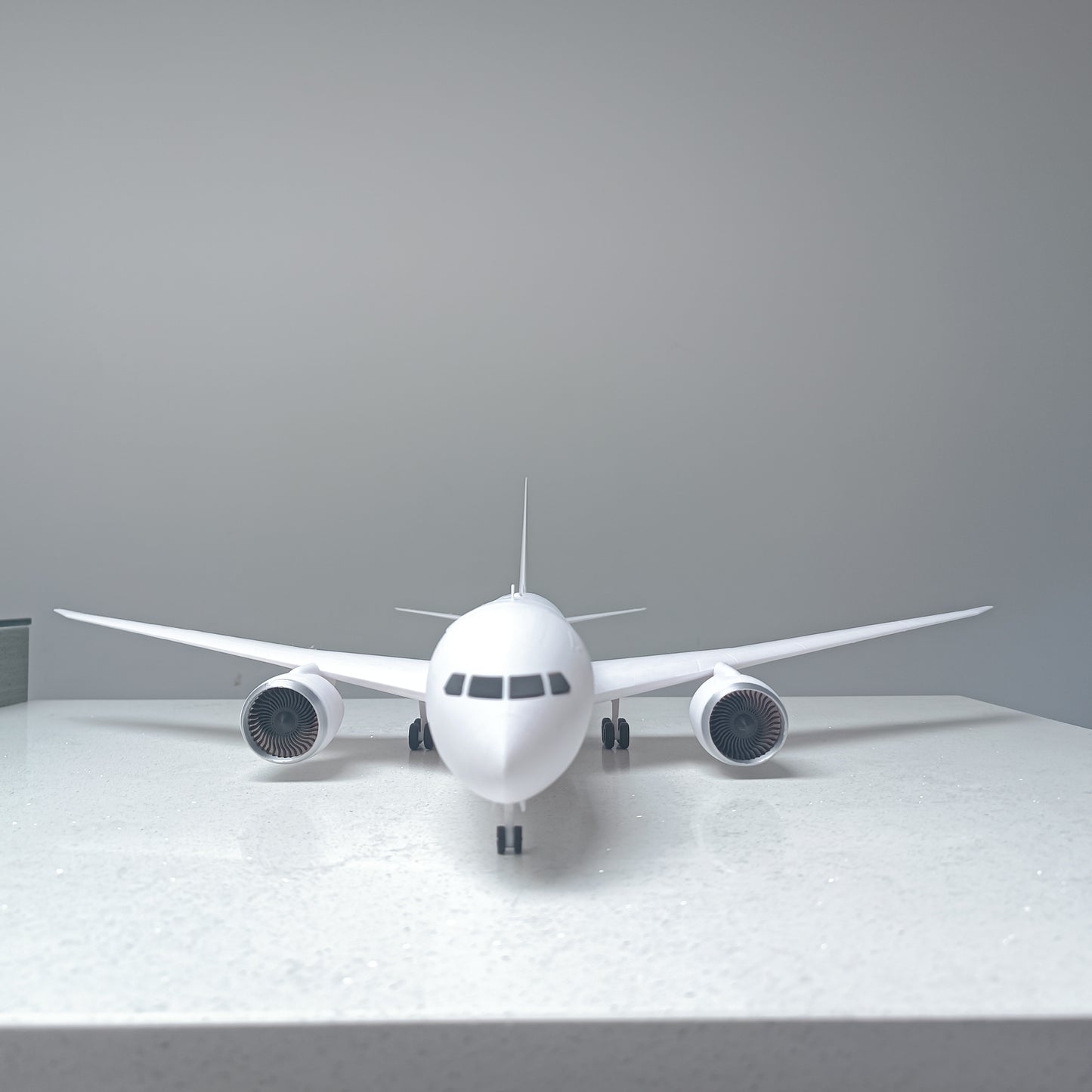 787-8 style aircraft model (1/100 scale)