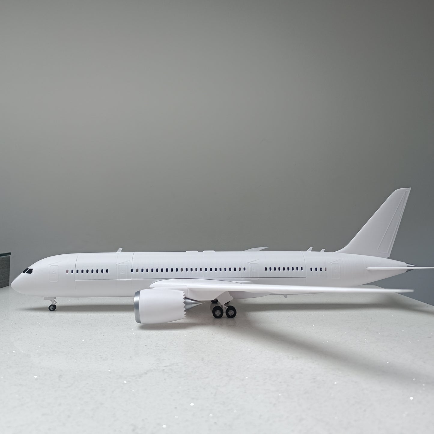 787-8 style aircraft model (1/100 scale)