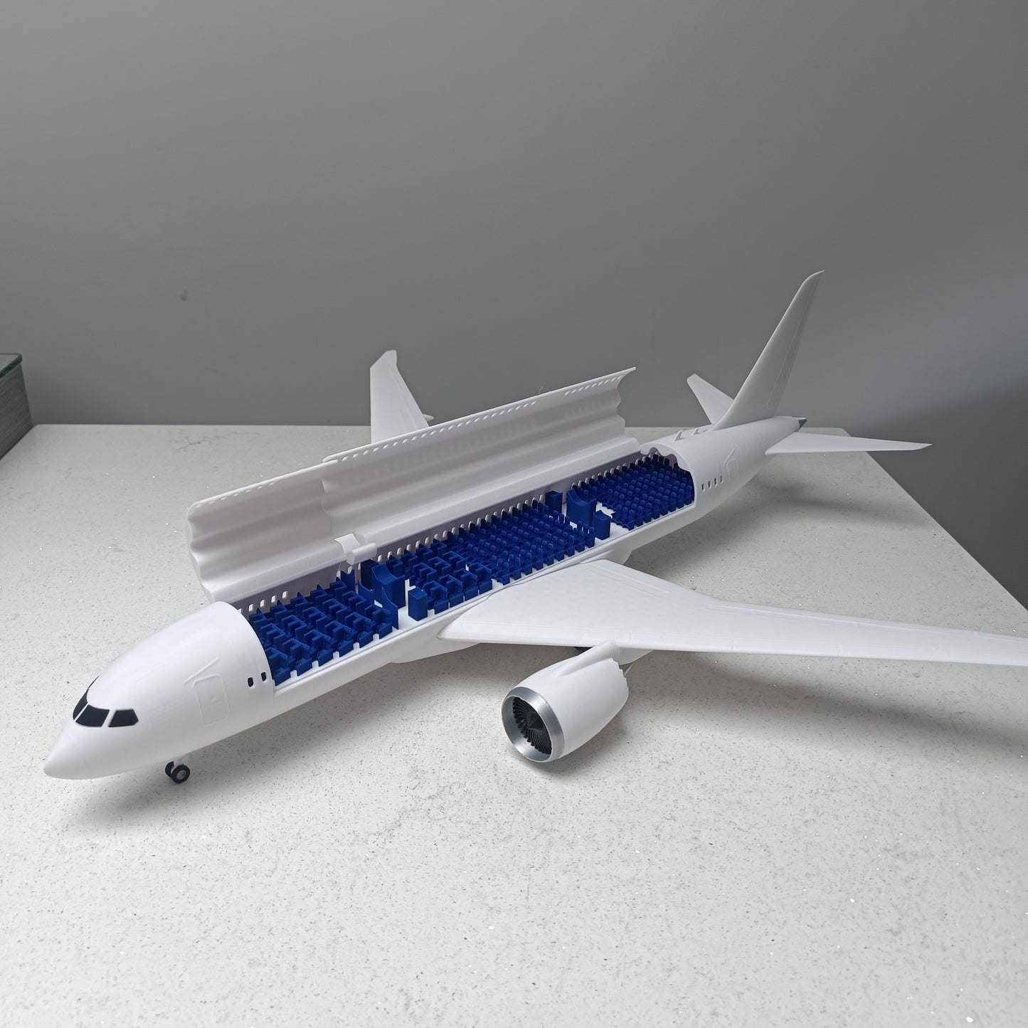 787-8 style aircraft model (1/100 scale)