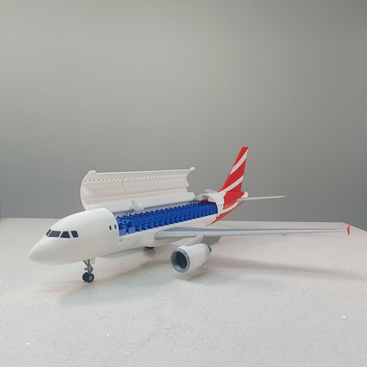 A319 style aircraft
